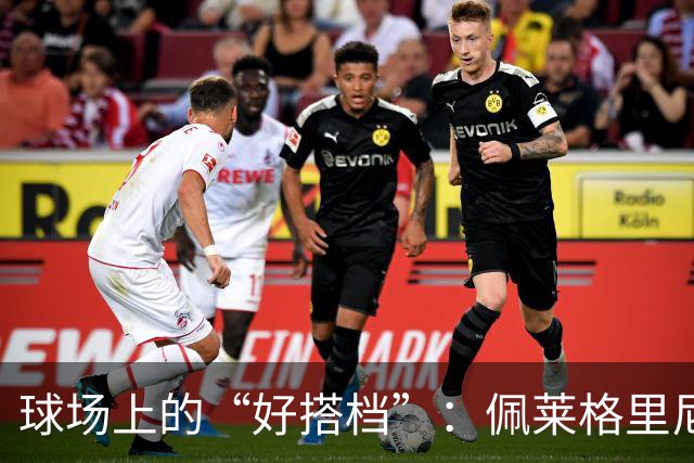 球场上的“好搭档”：佩莱格里尼谈战术奇遇记